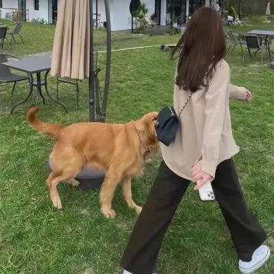 西伯利亚的理发师